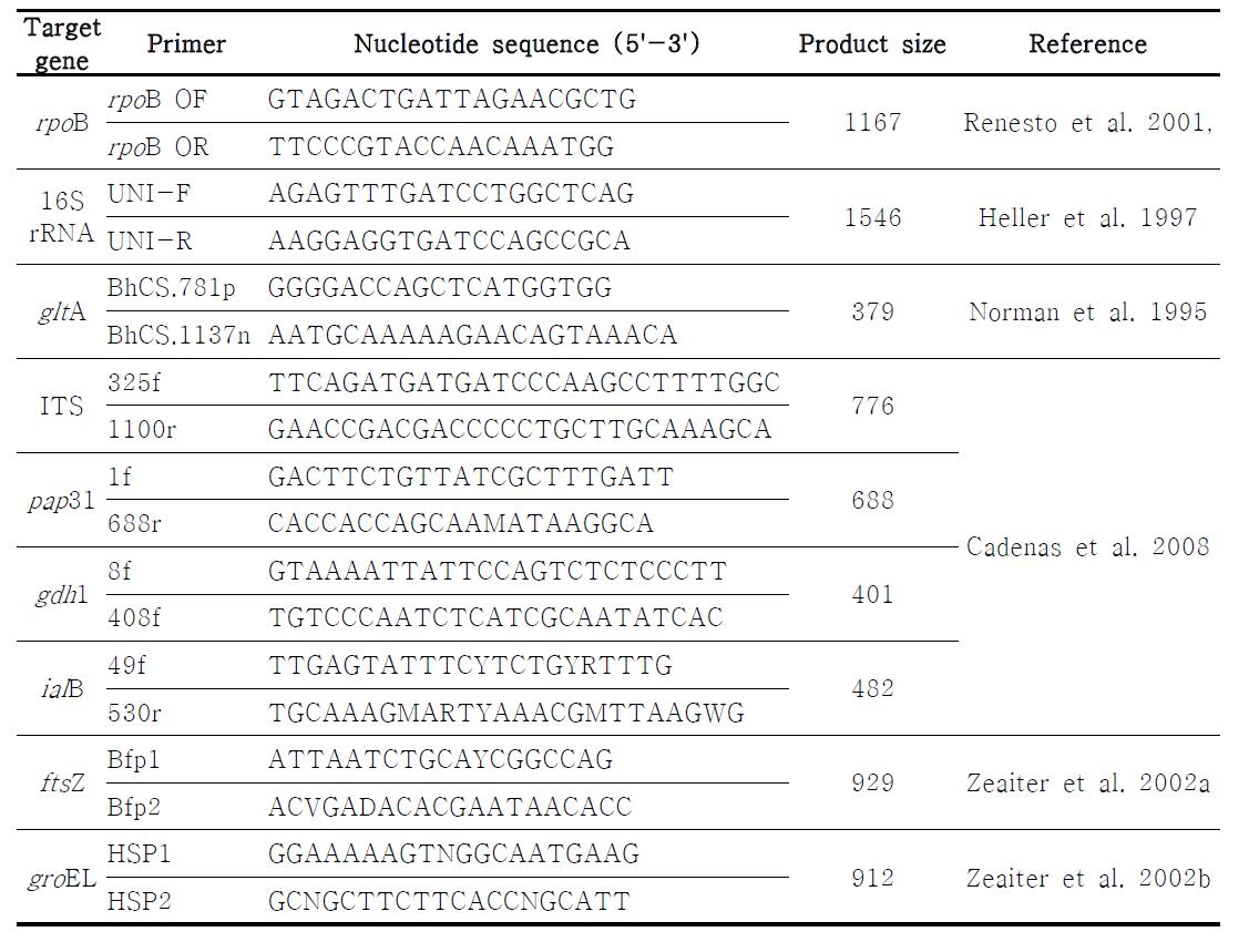 분리주의 분자생물학적 특성을 파악하기 위해 사용된 primers.
