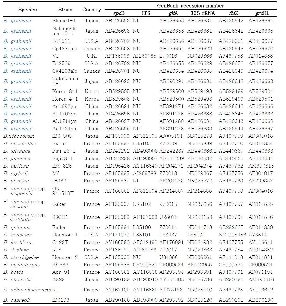 분리주의 유전자에 따른 계통발생학적 분석을 위해 사용된 GenBank accession numbers.