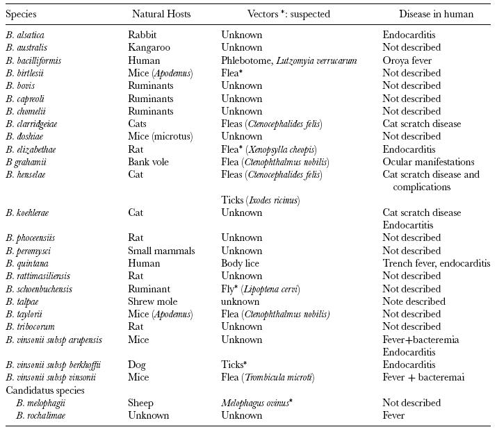 사람에 질병을 일으키는 바토넬라 종, 자연숙주(보균동물) 및 매개체 목록