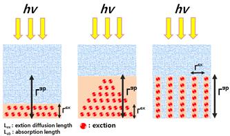 유·무기 하이브리드 구조에서 광 흡수층 두께와 모양에 따른 exciton generation 모식도