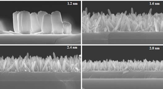 본 연구팀이 개발한 ALD 시드 층의 두께 변화에 따른 ZnO nanorod 밀도 제어 기술
