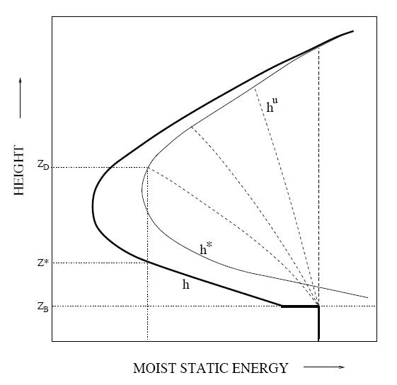 Schematic of the moist static energy distributions.