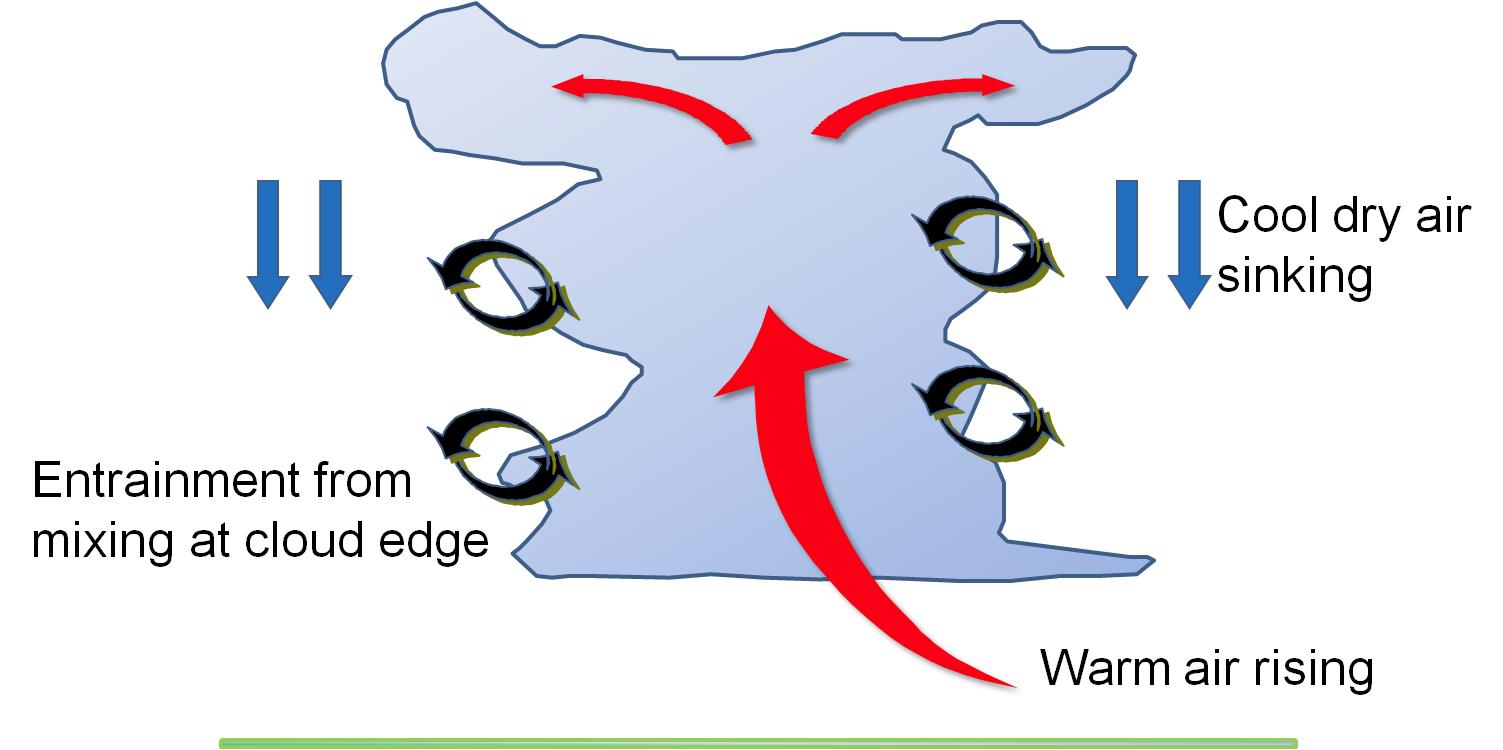 Schmetic diagram of typical evolution associated with mesoscale convective system (MCS).