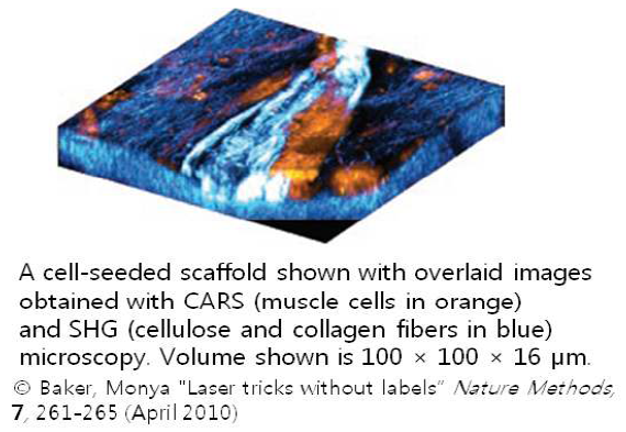 Multimodal CARS 현미경의 3차원 이미징