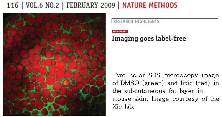 2009년 Nature Methods에 기사화 된 SRS 현미경 이미지로 피부 아래의 피하 지방층에서의 Dimethyl Sulfoxide(녹색)과 지질(빨간색)의 분포를 보여준다.