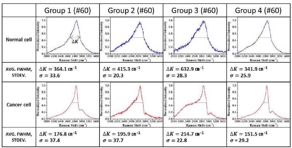 정상과 유방암 세포의 CARS 스펙트럼 FWHM 비교