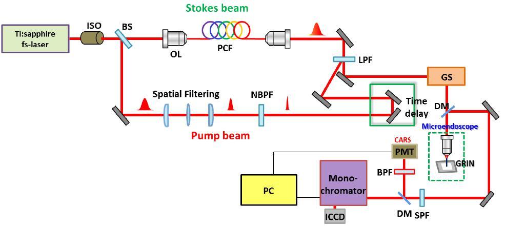펨토초 레이저와 PCF를 기반으로 하는 CARS 내시경 개략도