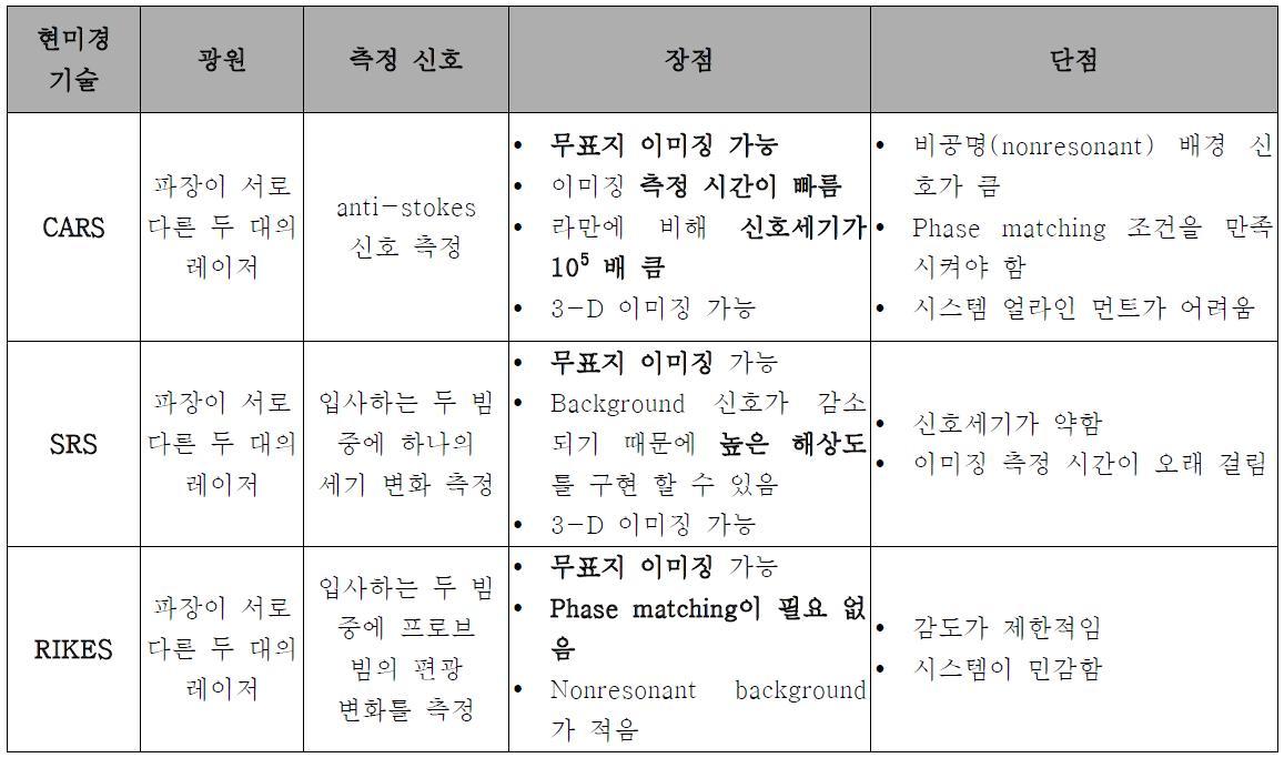 비선형 라만 분광 현미경 기술의 특징 비교