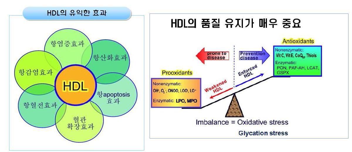 Beneficial effect of HDL (left) and quality balance of HDL to maintain its beneficial effect