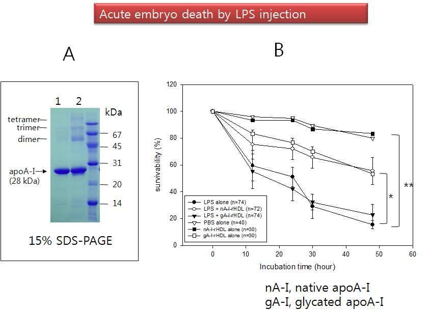 A. Electrophoretic patterns of native apoA-I and glycated apoA-I (15% SDS-PAGE). Mixture of apoA-I (2 mg/mL) and fructose (final concentration, 5 mM) was incubated for 90 h under 5% CO2at37oC. After protein determination, 5 mg of protein was loaded per lane. Lane 1, native apoA-I; lane 2, glycated apoA-I; lane M, molecular weight marker (BioRad, low range standard). B. Survival of zebrafish embryos which were injected with LPS plus nA-I-rHDL or gA-I-rHDL on day 1 post-fertilization. As a control, LPS (200 ng) alone and each rHDL alone (50 ng) were also injected into the embryo. Prior to injection, LPS (200 ng) was mixed with 50 ng of nA-I-rHDL or gA-I-rHDL. *, p <0.05; **, p <0.01