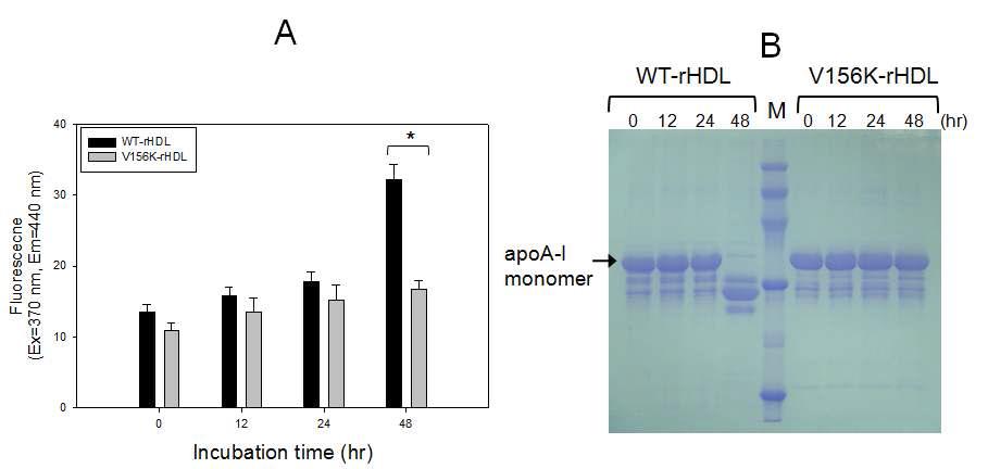 Determination of the extent of glycation in a time-dependent manner