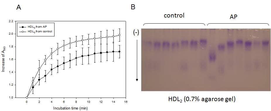 Comparison of the antioxidant activity of HDL.