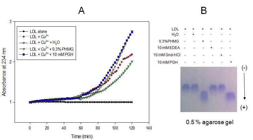 Modification of human LDL by the sterilizers