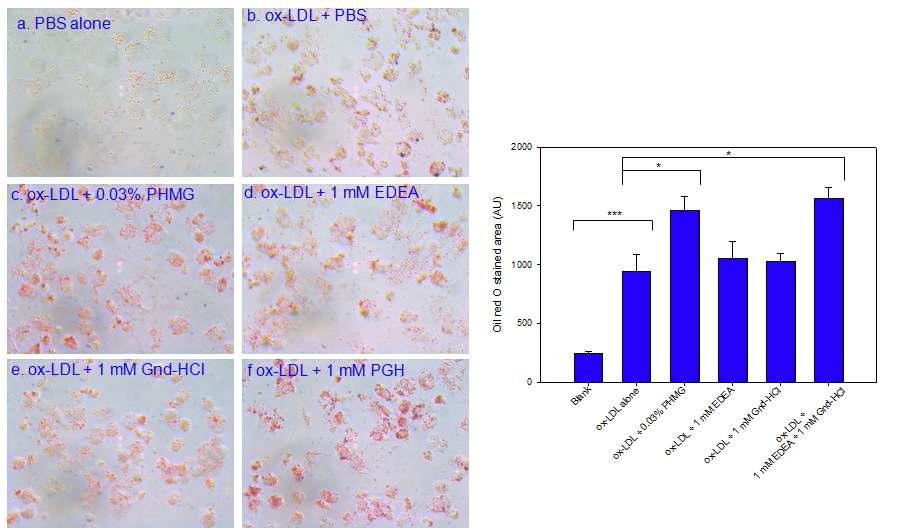 Uptake of oxidized LDL (oxLDL) in the presence of disinfectants. Differentiated THP-1 cells were incubated with 50 mL of oxLDL (50 mg of protein) in the presence of each disinfectant for 48 hr. a, PBS alone; b, oxLDL+ PBS; c, oxLDL + 0.03% PHMG (final); d, oxLDL + 1 mM EDEA (final); e, oxLDL + 1 mM Gnd-HCl (final) ; f, oxLDL + 1 mM PGH (final, EDEA + Gnd-HCl). A. Increased cellular uptake of oxLDL as visualized by oil-red O staining. B. Oil-red O-stained cellular areas of 0.8 mm2 were quantified using computer-assisted