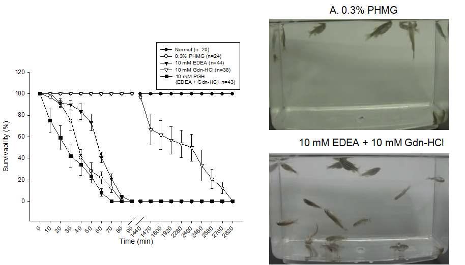 Survival graph of zebrafish in water containing disinfectant. Acute deaths were observed in water containing PHMG or PGH. A. Swimming patterns of zebrafish in water containing PHMG (final concentration of 0.3%). B. Swimming patterns of zebrafish in water containing PGH (final concentration of 10 mM).