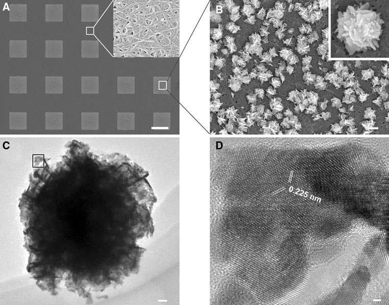 A FE-SEM image of SWCNT films patterned with platinum particles.