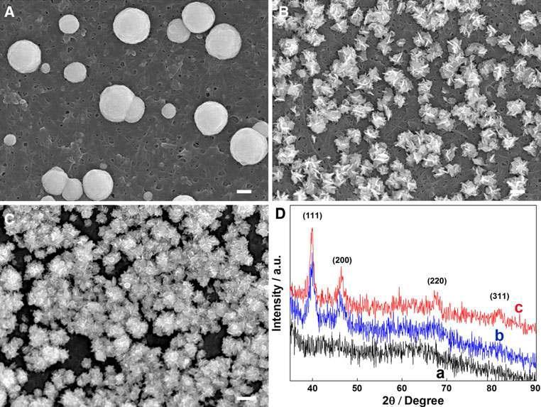 FE-SEM images of the platinum particles obtained at different potentials.