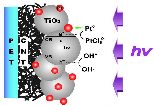 Formation of platinum nanoparticles via photogenerated electrons and holes. at the TiO2interface.