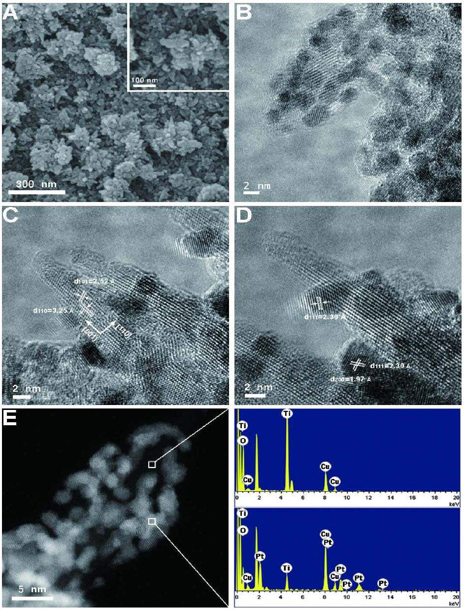 Photoinduced platinum nanoparticles on TiO2supports.