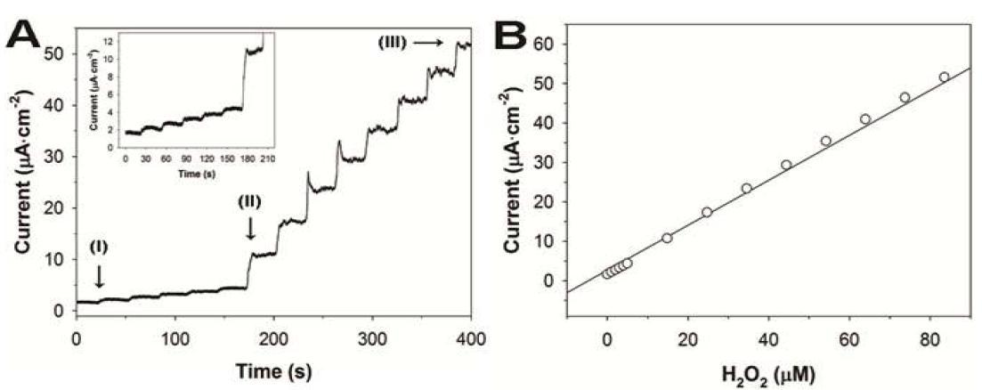 (A) Amperometric responses at low H2O2 concentrations of Pt/TiO2/SWCNT electrodes prepared with 100 mM KCl.