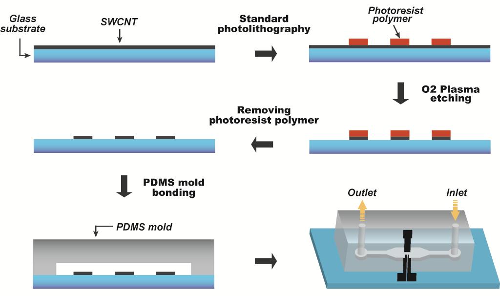 Experimental procedures for the fabrication of SWCNT-based microfluidic devices.