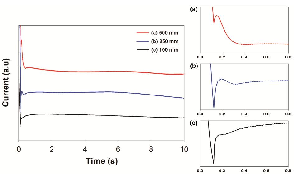 Current-time transients during electrochemical deposition of gold particles on the SWCNT working electrodes of different widths.