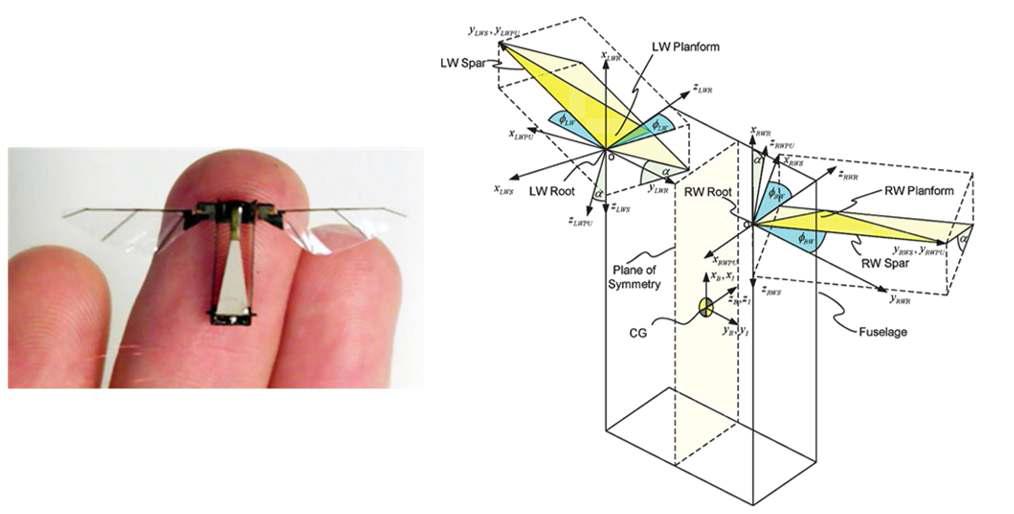 Robotic fly(좌), 각각의 날개의 독립적인 구동이 가능한 개념 모델(우)