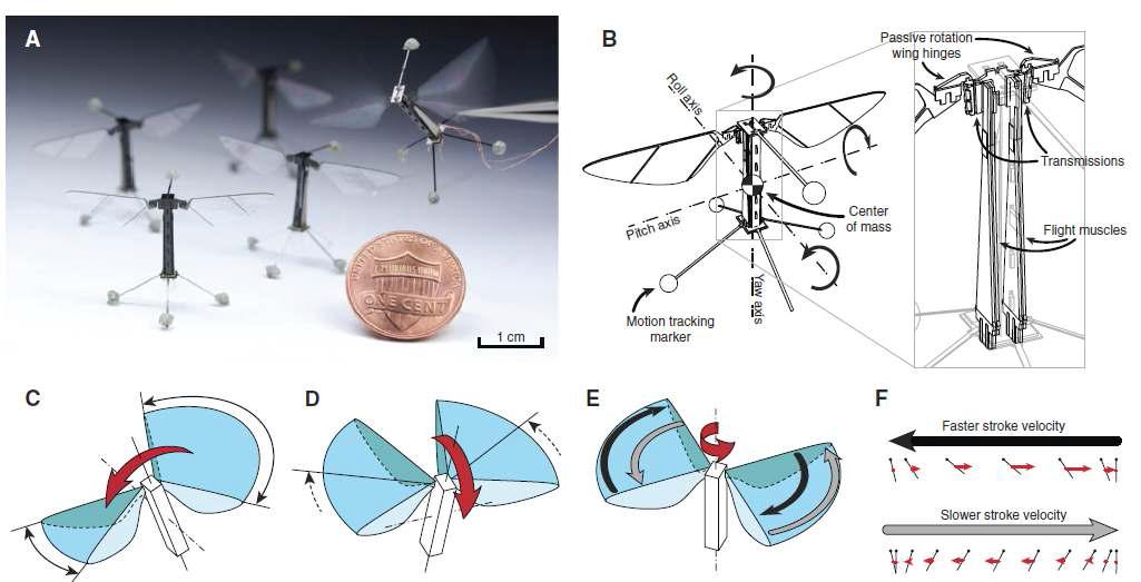 곤충크기 (날개길이 3cm) 생체모방 날갯짓 비행체의 제어된 제자리 비행 실험 및 개략적인 3축 제어 기법 설명