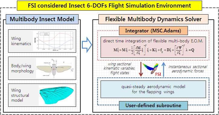 유체-구조연계해석이 고려된 날갯짓 비행체 6자유도 비행 시뮬레이션 환경 흐름도