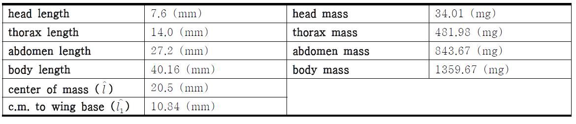 다물체 동역학적 관점에서 모델링 된 박각시나방의 몸체 형태(body morphology) 매개변수들