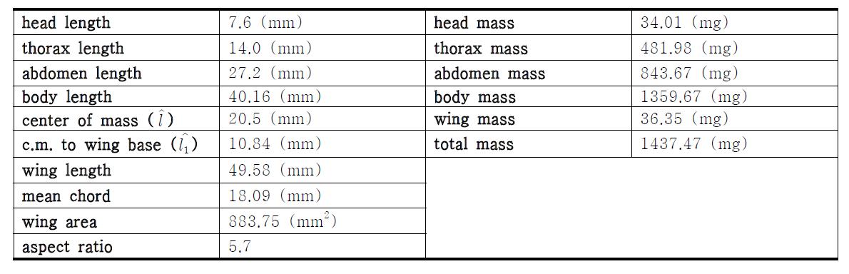 비행동역학 및 안정성 해석을 위한 박각시나방 다물체 동역학 모델 매개변수