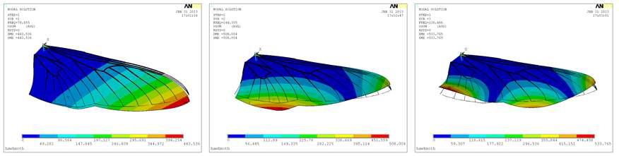 박각시나방 전체 날개 유한요소 모델의 모드 해석 결과