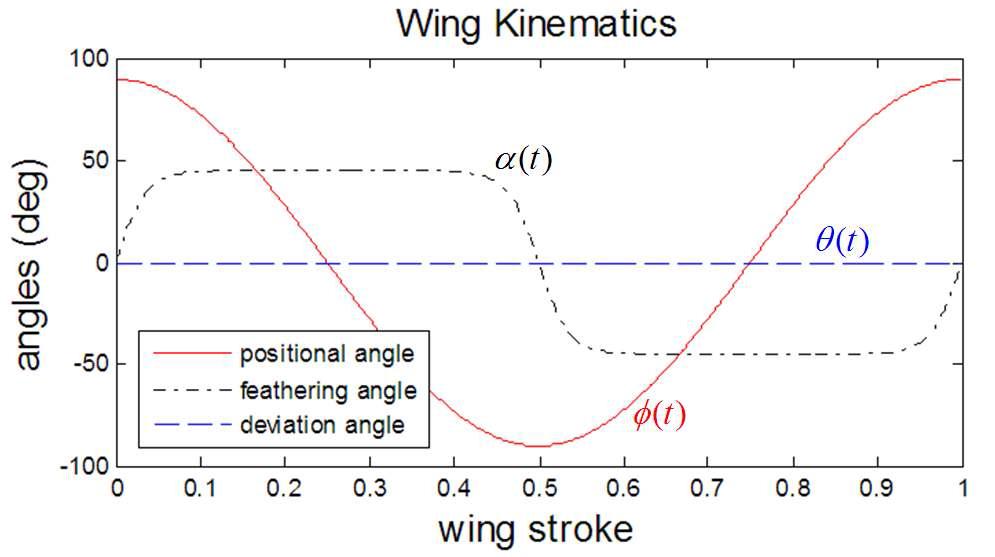 검증 실험 및 해석에 사용된 날갯짓 운동학 함수