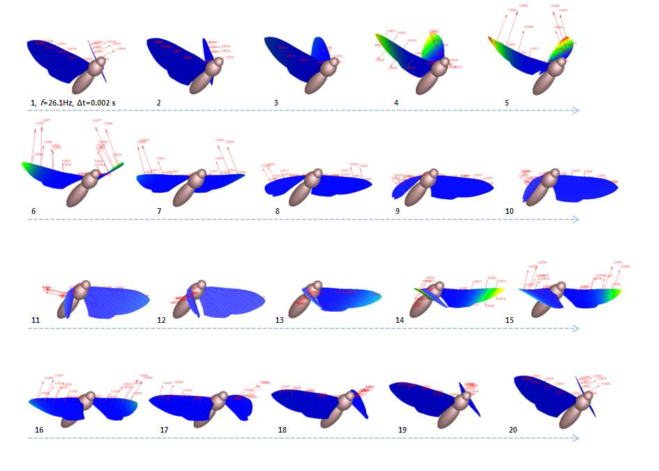 박각시나방 유연 날개 모델의 제자리 비행 트림 조건에서의 비행 양상