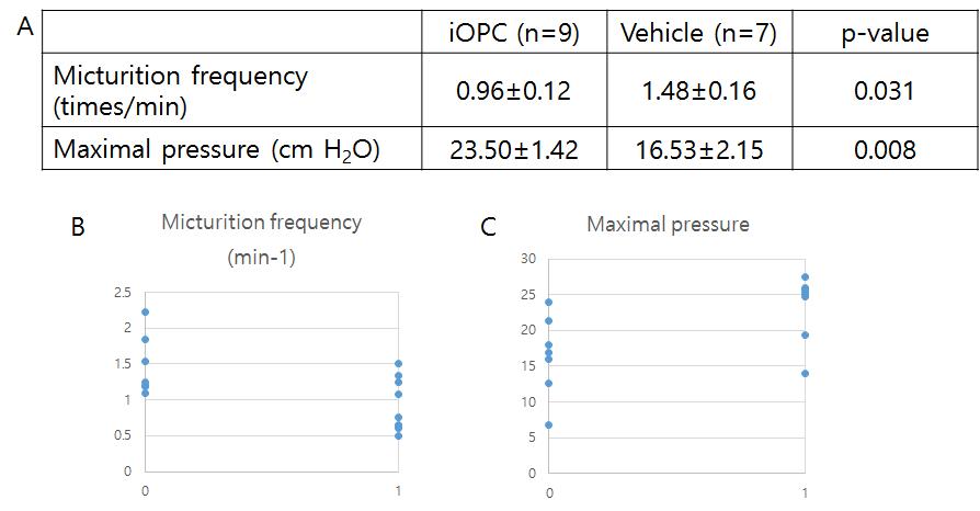 요역동학적 검사 결과. (A) 실험군(iOPC)과 대조군(Vehicle)의 배뇨 빈도 및 최대 배뇨압 결과, (B) 배뇨 빈도 및 (C) 최대 배뇨압의 분포 정도