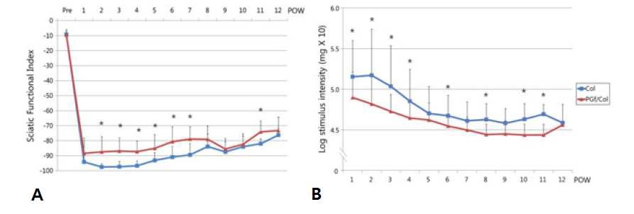 좌골신경 절단모델에서 실험군(빨간색) 및 대조군(파란색)의 운동기능평가(sciatic functional index, A) 및 감각기능평가(von Frey hair test, B) 결과