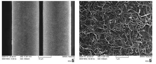 탄소나노섬유의 구조(우측)와 탄소나노섬유가 코팅된 인산유리섬유 사진(좌측)