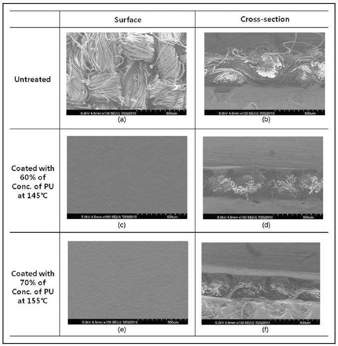 PU(Polyurethane) 코팅 전·후의 투습발수 직물의 SEM 이미지