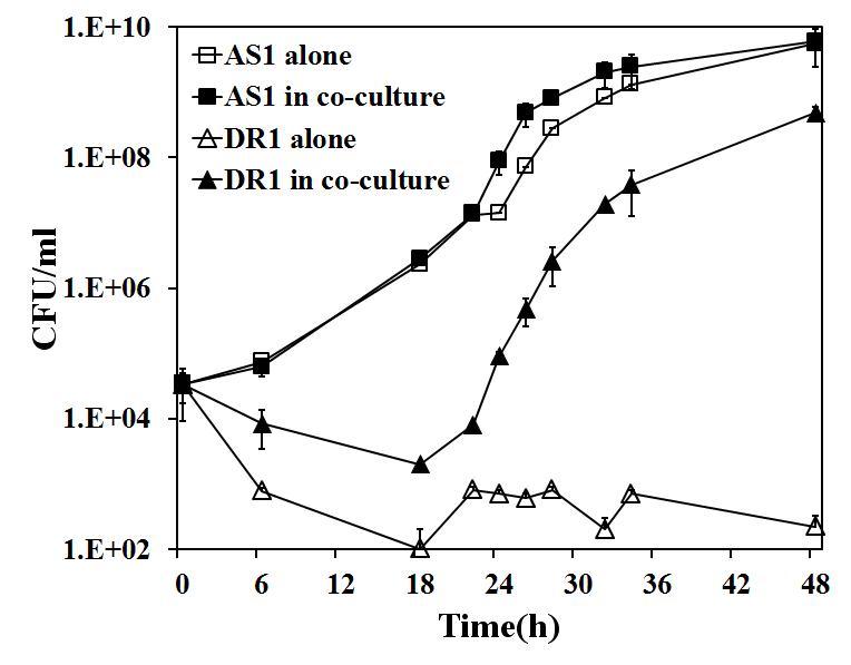 나프탈렌에서 AS1과 DR1 혼합배양 시 DR1에 대한 AS1의 growth-support 효과