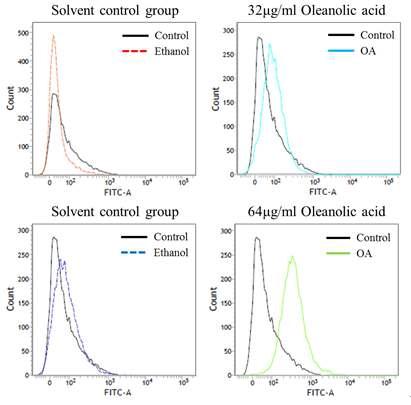 FACS를 통해서 OA의 ROS 생성 정도를 비교