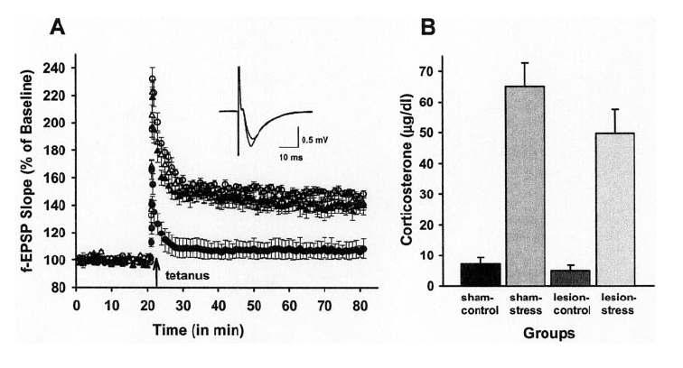 스트레스와 편도체 손상이 Schaffer ollateral-commissural-CA1 LTP 와 corticosterone 분비에 미치는 효과