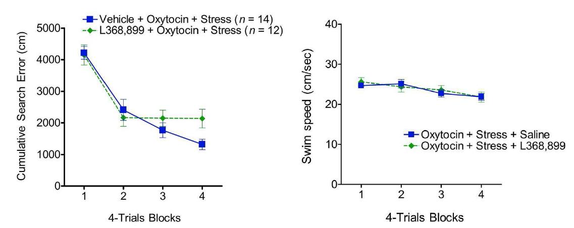 Morris water maze task를 통한 선행학습 결과, saline 혹은 oxytocin receptor antagonist를 처리 한 두 그룹 모두 16 training trial의 학습을 정상적으로 형성