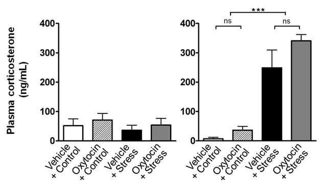 Stress에 의해서 증가되는 혈중 corticosteron 분비에 대한 oxytocin의 효과: 3일 동안 oxytocin (1mM, 200 ul) 전처리에 의해서는 stress-induced corticosteron release에 어떠한 유의미한 효과도 유발되지 않음