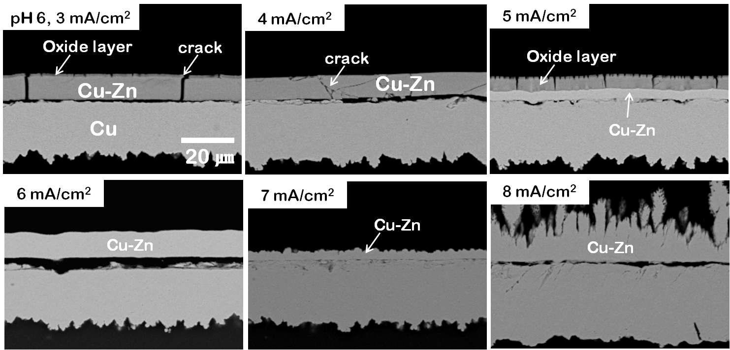 전류 밀도 변화에 따른 tartrate 도금욕에서의 Cu-xZn 도금층의 단면 SEM 사진.