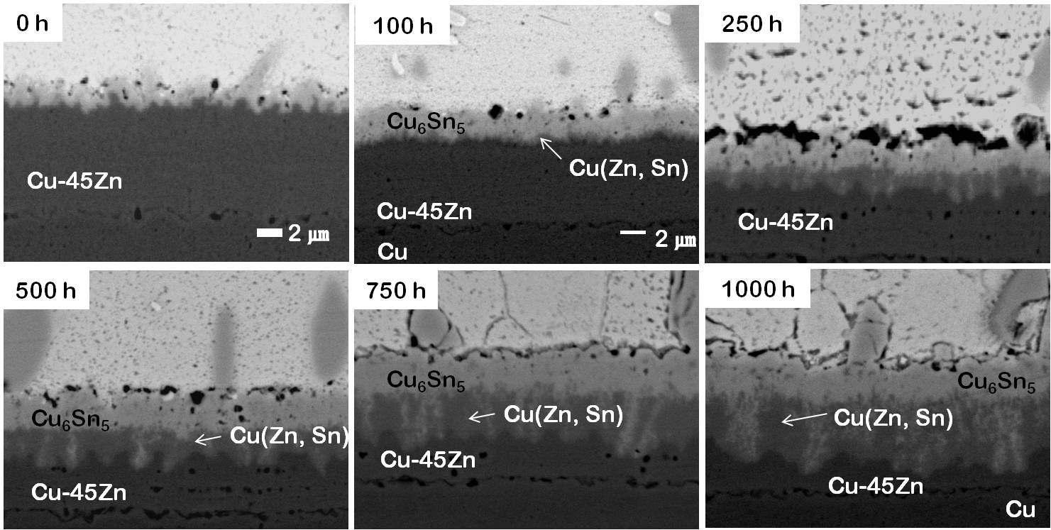 리플로 후 시효처리에 따른 SAC/Cu-45Zn 계면 미세구조 변화를 나타내는 SEM 사진