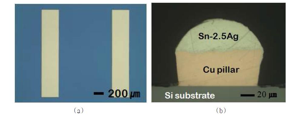 (a) 실리콘 기판 상에 형성된 메탈 라인의 광학 사진, (b) 메탈 라인 위에 형성된 Cu pillar/Sn-2.5Ag 범프의 단면 광학 사진