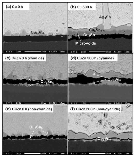 낙하 충격 신뢰성 실험 후 파괴된 Cu 및 Cu-Zn 시편들의 솔더 접합부의 미세구조.