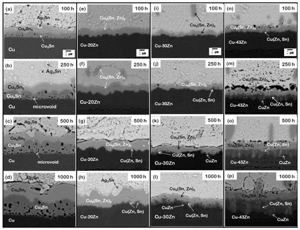Cu-xZn 도금층과 SAC 솔더와의 계면반응 및 미세구조