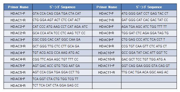 Primers for HDAC subtypes (HDAC 1~11).