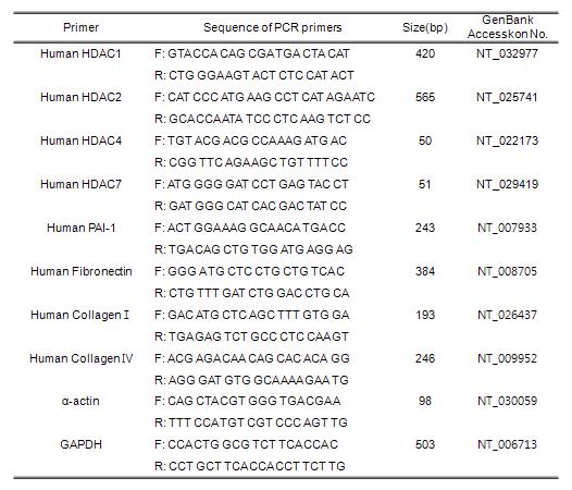 Primer sequences for RT-PCR